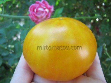 Чарівність