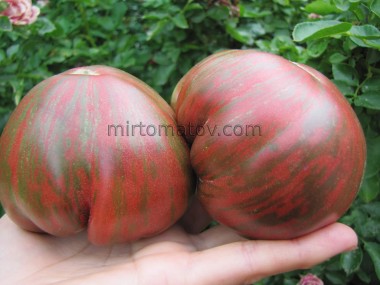 Саффер Велл / Страдай легко (Suffer Well)