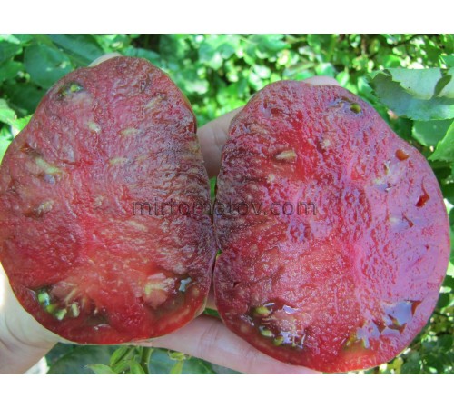 Саффер Велл / Страдай легко (Suffer Well)