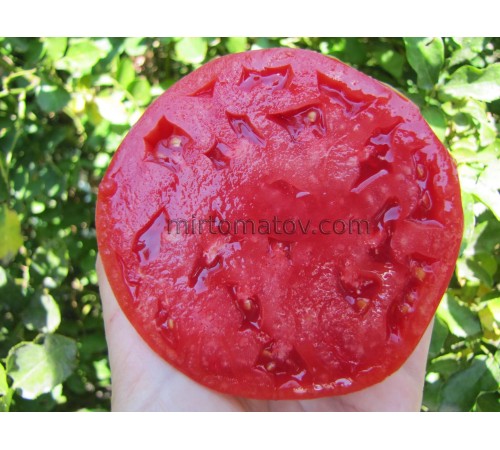 Сімейний із Кахетії (Familiale de Kakhetie)