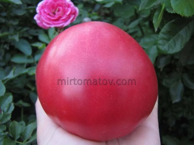 Серце Білла Вавілон (Bill's Heart Babylon)