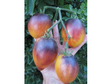 Серце Дениса (Denis's heart)