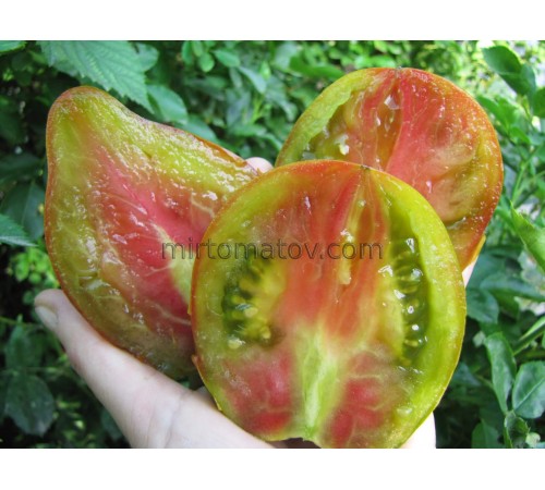 Слива Ібірапуера (Prune Ibirapuera)