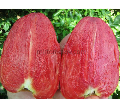 Стейк Серця Бика із Сан Джуліано (Cuore di Bue Bistecca San Giuliano)