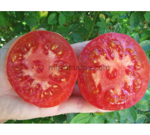 Тибетське яблуко (Tibet Apple)