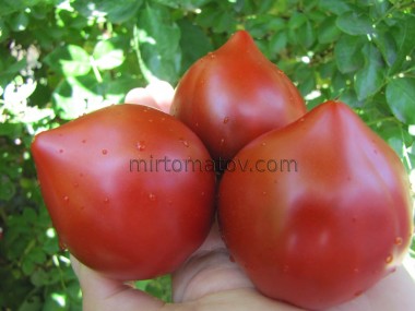 Трюфельне серце