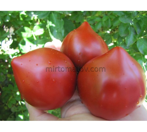 Трюфельне серце