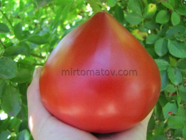 Фатер Рейн (Vater Rhein)