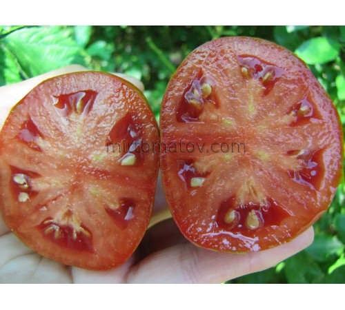 Чорний банан Коста (Black Banana Costa)