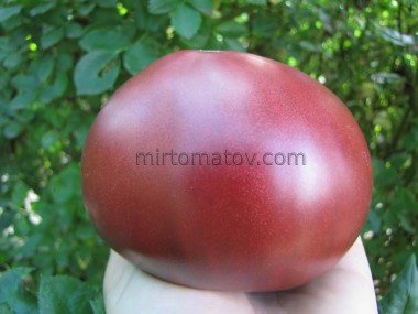 Шарбоньєз Дю Беррі (Charbonneuse du Berry)