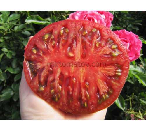 Шарбоньєз Дю Беррі (Charbonneuse du Berry)