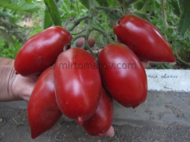 Шоколадні свічки