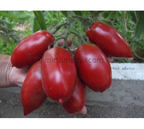 Шоколадні свічки