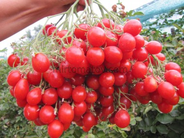 Японський пензель