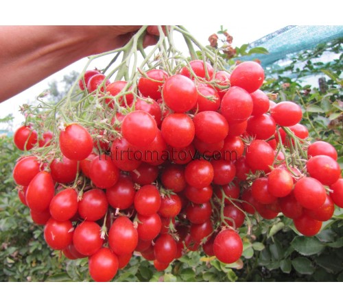 Японський пензель