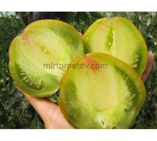 Сладкая Тропическая Груша (Sweet Tropical Pear)